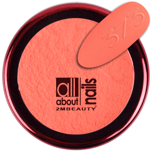 Acryl Color Powder 373